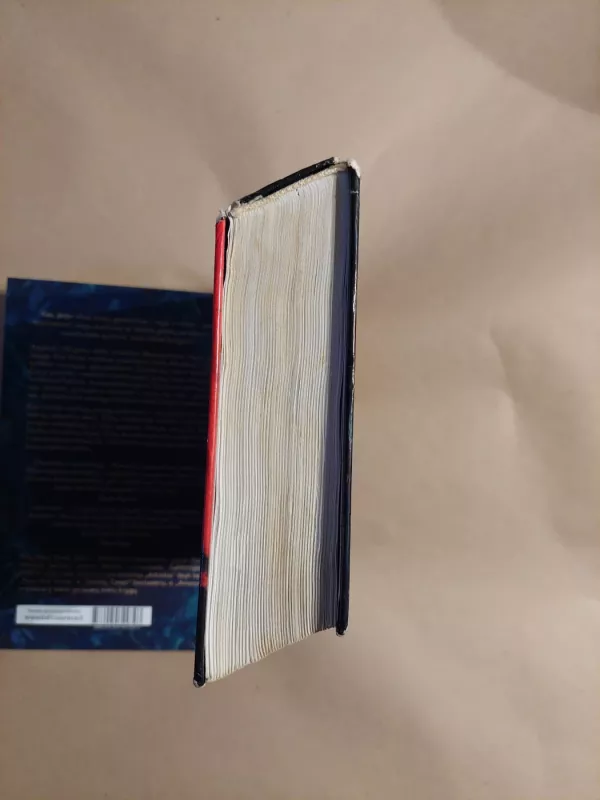 Buhalteris - Vytautas Ažušilis, knyga 6