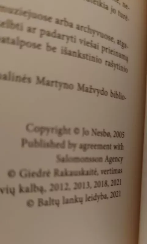 Gelbėtojas - Jo Nesbø, Jo Nesbo, knyga 4