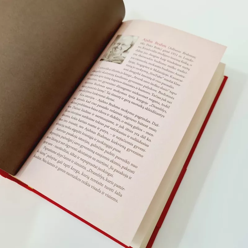 Dramblys, kuris pamiršo laimę. Įkvepiančios istorijos apie tai, kaip mėgautis kiekviena akimirka - Ajahn Brahm, knyga 6