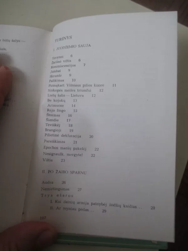 Po žaibo sparnu - Jonas Graičiūnas, knyga 5