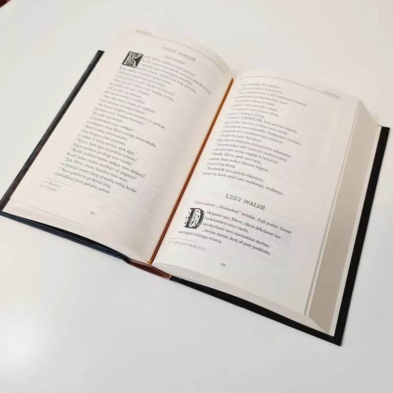 Biblijos išmintis. 7 Biblijos išminties knygos - Auksinio obuolio serija, knyga 5