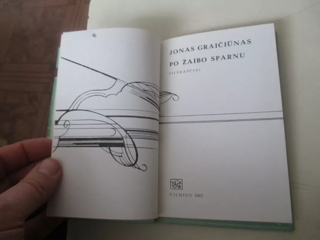 Po žaibo sparnu - Jonas Graičiūnas, knyga 6