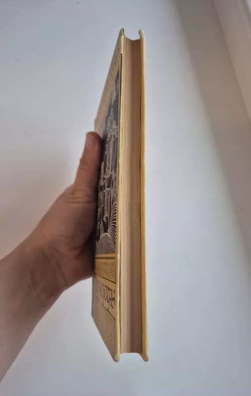 Don Kichotas - Migelis Servantesas, knyga 5