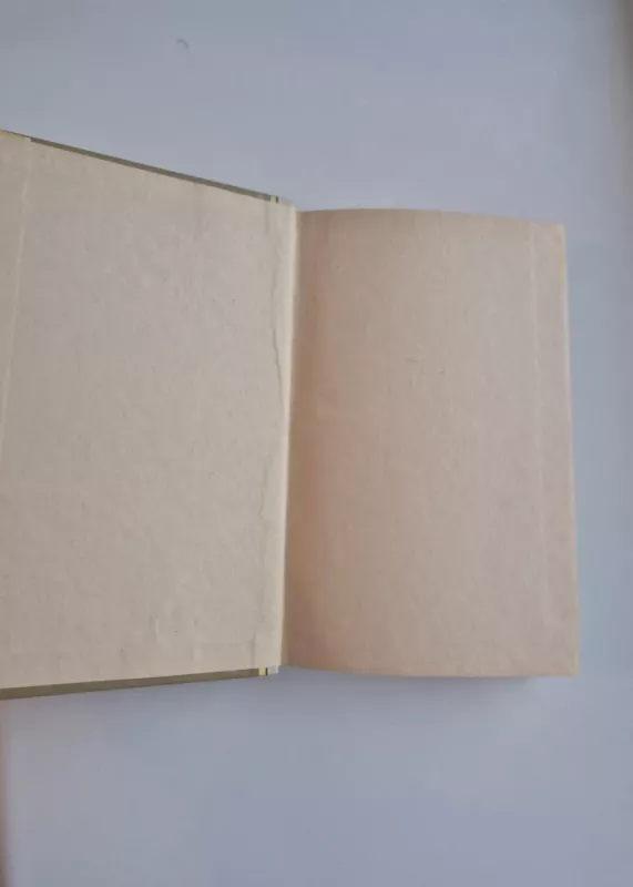 Don Kichotas - Migelis Servantesas, knyga 3