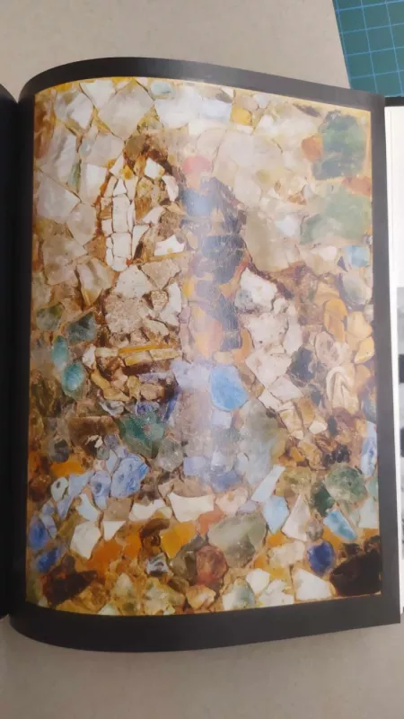 Irena Trečiokaitė-Žebenkienė - Aldona Griciūnaitė, knyga 6