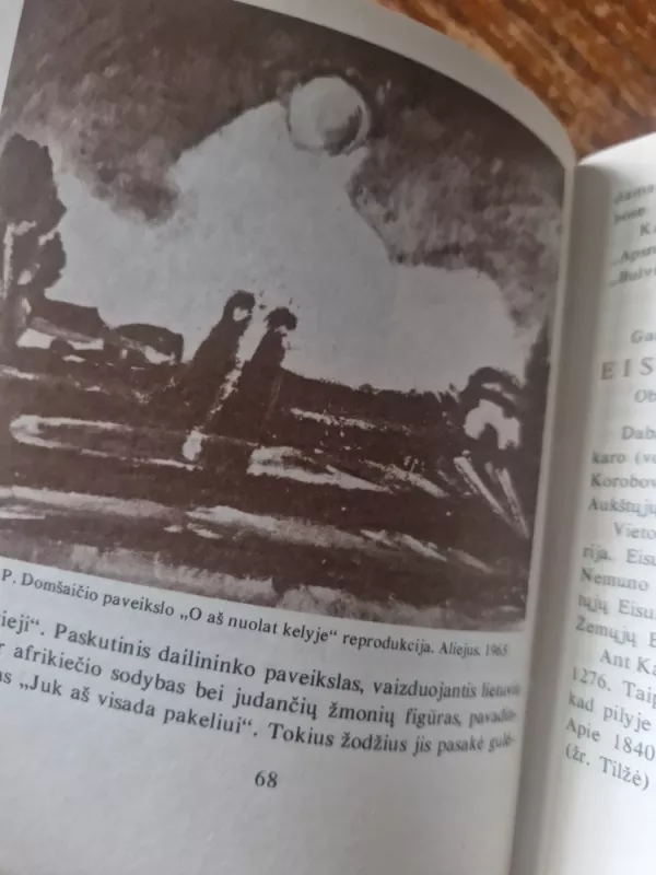 Mažosios Lietuvos kultūros pėdsakai Kaliningrado srityje - Vytautas Šilas, knyga 3