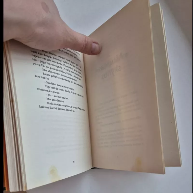 Lygiosios trunka akimirką - Icchokas Meras, knyga 4