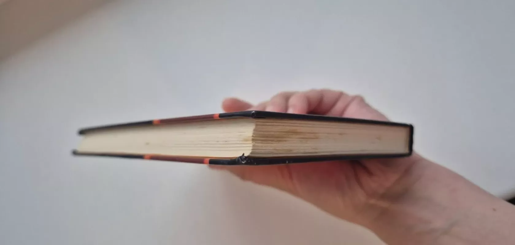 Lygiosios trunka akimirką - Icchokas Meras, knyga 3