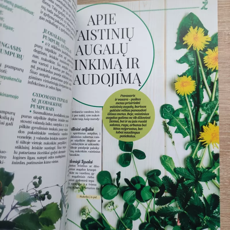 Žiniuonių patarimai - Autorių Kolektyvas, knyga 4