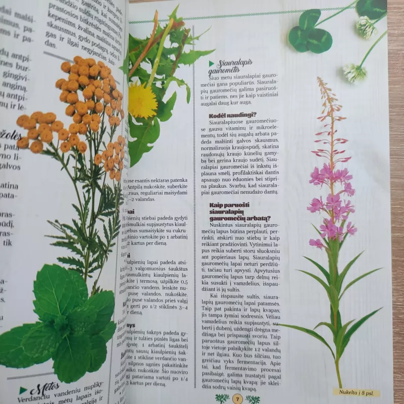 Žiniuonių patarimai - Autorių Kolektyvas, knyga 5