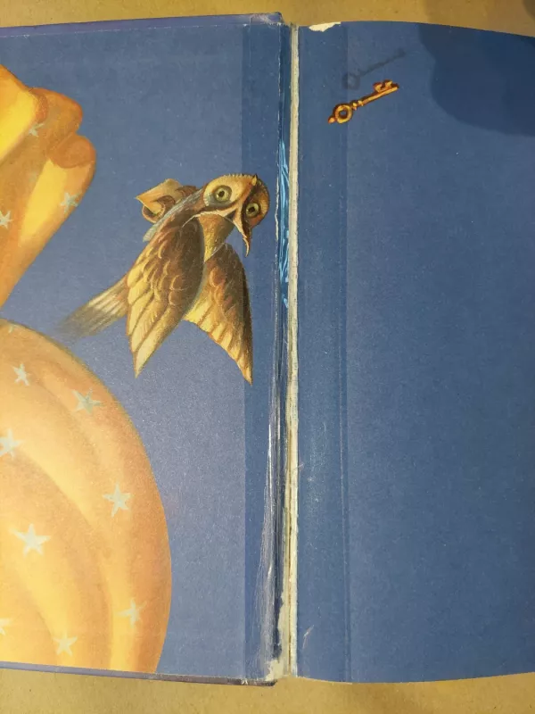 Haris Poteris ir Fenikso Brolija - Rowling J. K., knyga 4