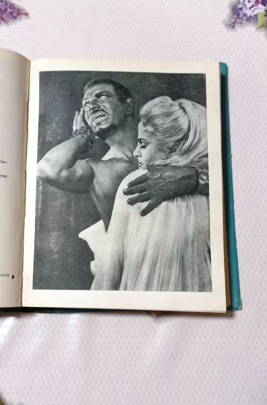 Šimtas teatro mįslių - Petronėlė Česnulevičiūtė, knyga 4