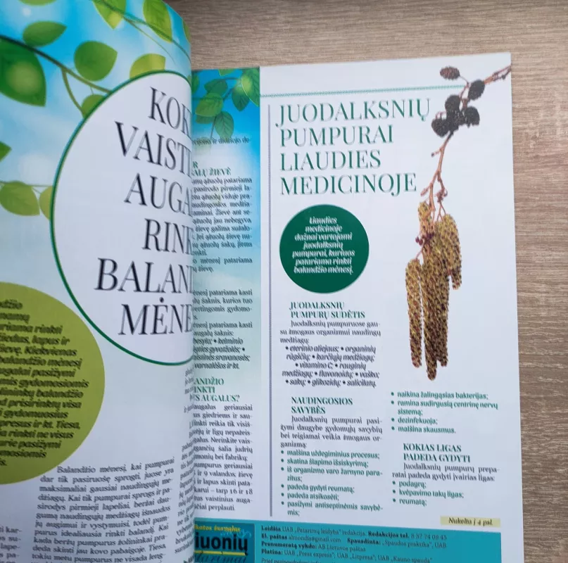 Žiniuonių patarimai - Autorių Kolektyvas, knyga 3