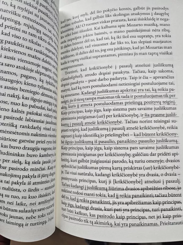 Arba arba I - Soren Kierkegaard, Sorenas Kierkegaardas, knyga 3