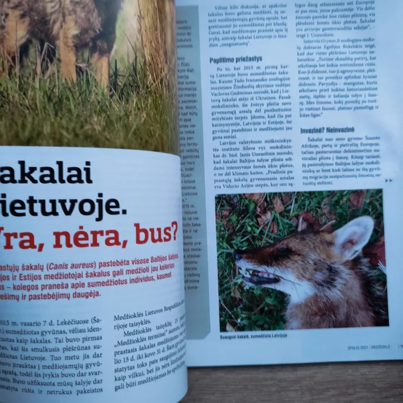 Medžioklė - Grupė autorių, knyga 4