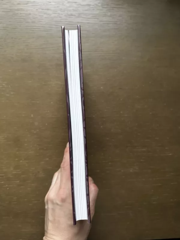 Liūdesio elegijos - OVIDIJUS, knyga 3