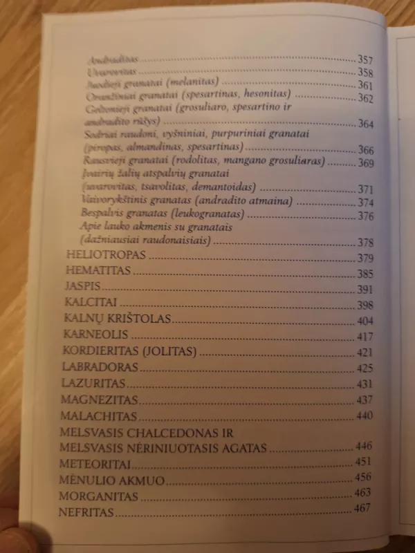 Raktas į akmenų karalystę - Audronė Ilgevičienė, knyga 6