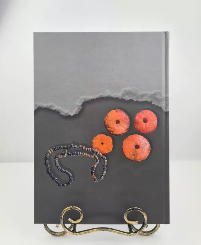 Prakalbinta priešistorė - Gintautas Zabiela, knyga 5