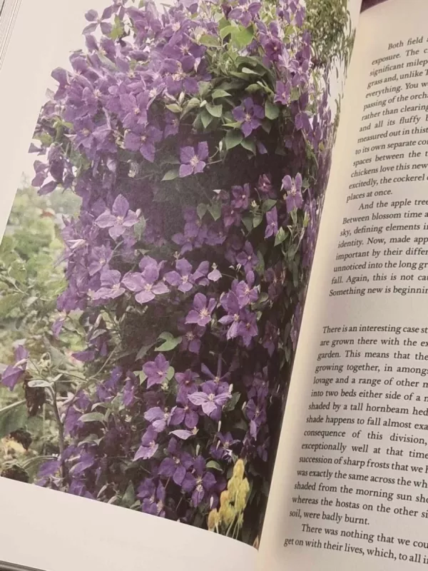 The Ivington Diaries - Monty Don, knyga 6