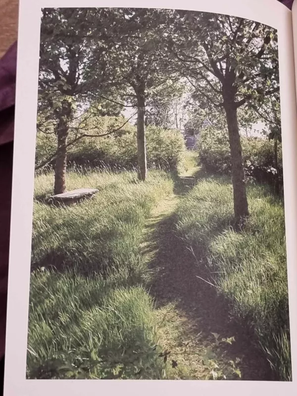 The Ivington Diaries - Monty Don, knyga 5