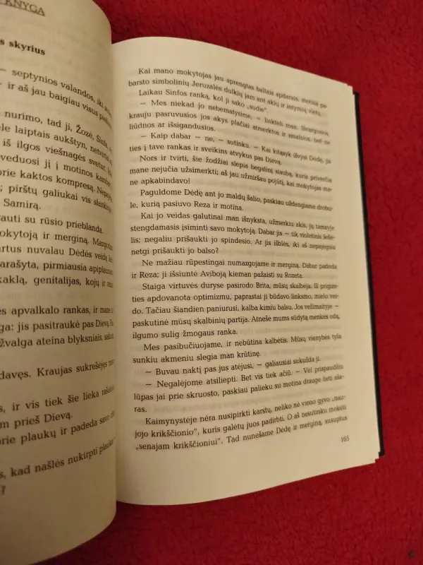 Paskutinis Lisabonos kabalistas - Richard Zimler, knyga 4