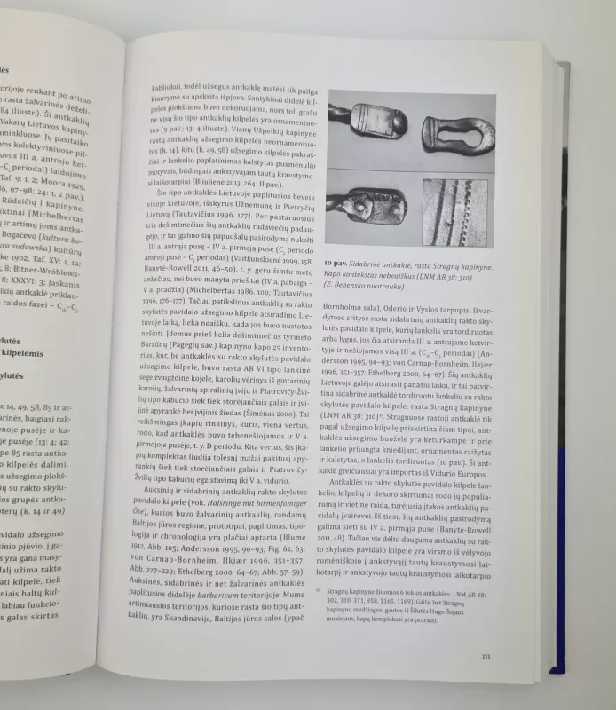 Užpelkių kapinynas Lietuvos pajūrio ir Baltijos jūros regiono kultūriniuose kontekstuose - Audronė Bliujienė, Ramunė Bračiulienė, knyga 3