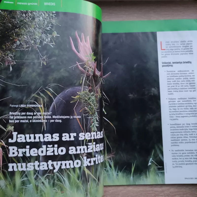 Medžioklė - Grupė autorių, knyga 3