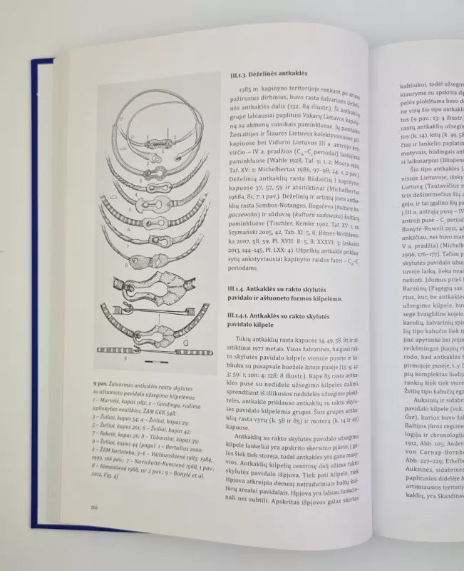 Užpelkių kapinynas Lietuvos pajūrio ir Baltijos jūros regiono kultūriniuose kontekstuose - Audronė Bliujienė, Ramunė Bračiulienė, knyga 4