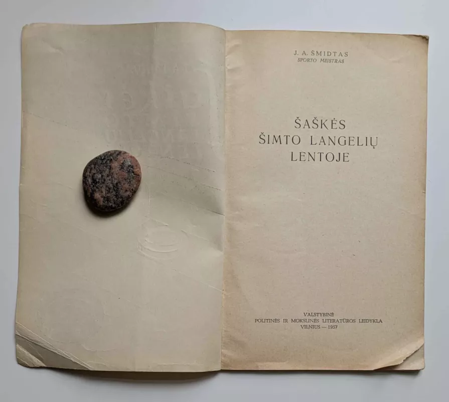 Šaškės šimto langelių lentoje - J.A. Šmidtas, knyga 3