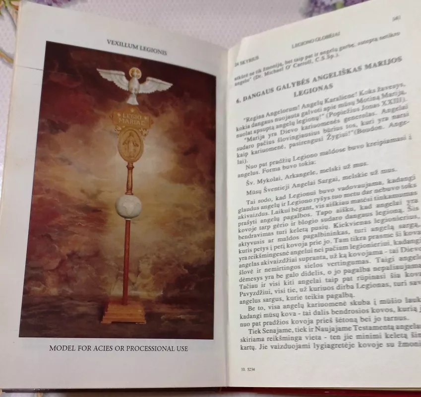 Oficiali Marijos Legiono atmintinė - Autorių Kolektyvas, knyga 4