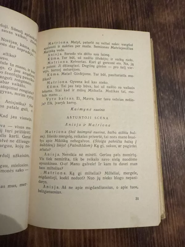 Pjesės - Levas Tolstojus, knyga 4