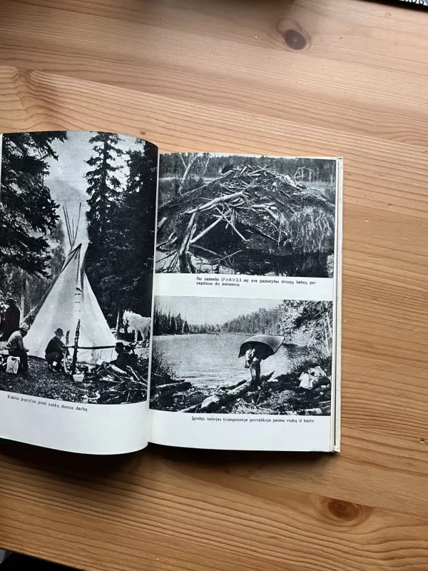 Apleistos trobelės pasakojimai - Pilkoji Pelėda , knyga 4