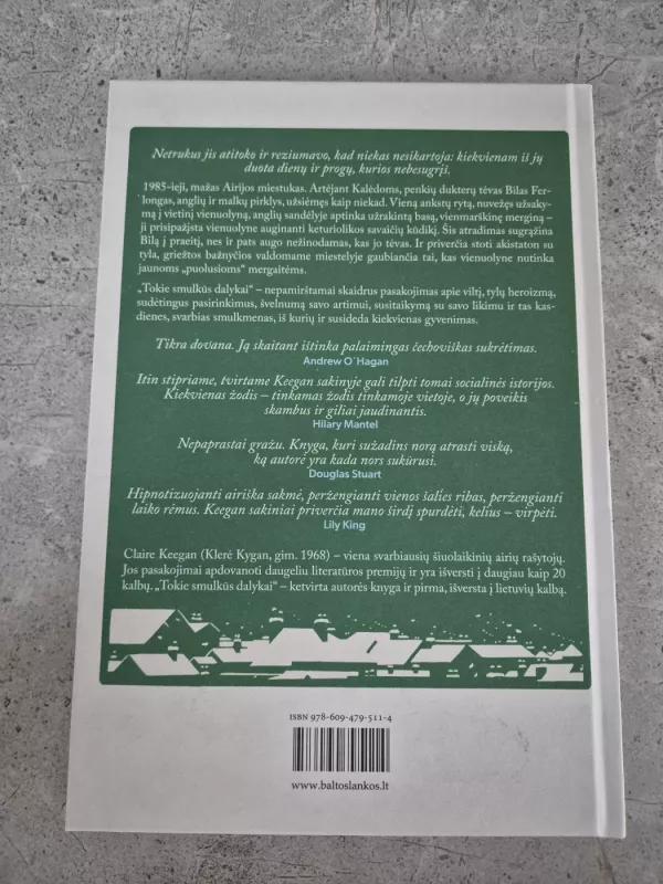 Tokie smulkūs dalykai - Claire Keegan, knyga 3