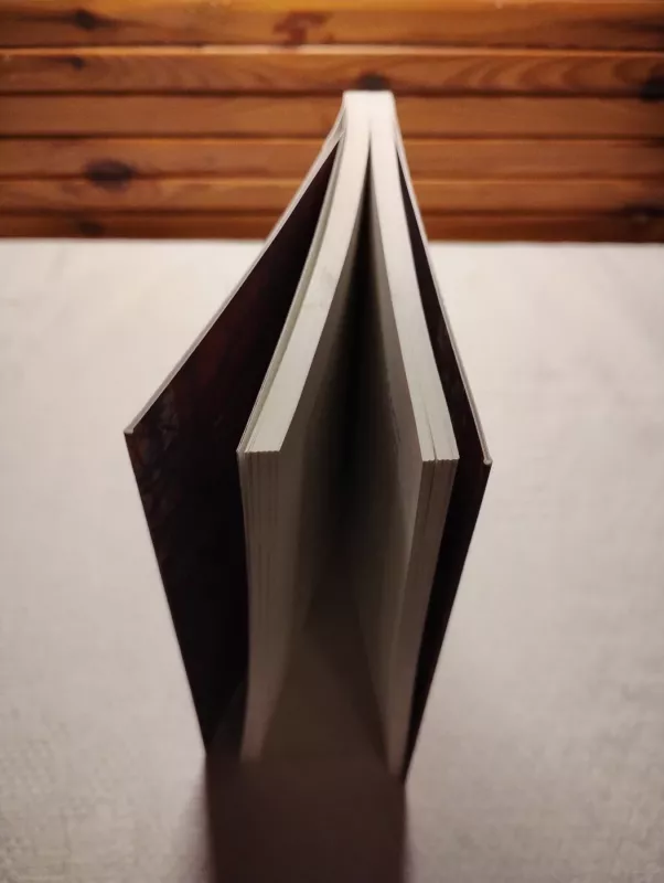 Iš meilės išminties meilei: filosofai neprofesionalai Lietuvos filosofijos kontekste - Andrius Konickis, knyga 3