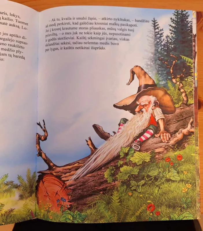 Brolių Grimų pasakos -  Broliai Grimai, knyga 6