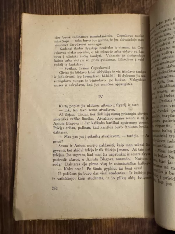 Treji metai - Antonas Čechovas, knyga 5