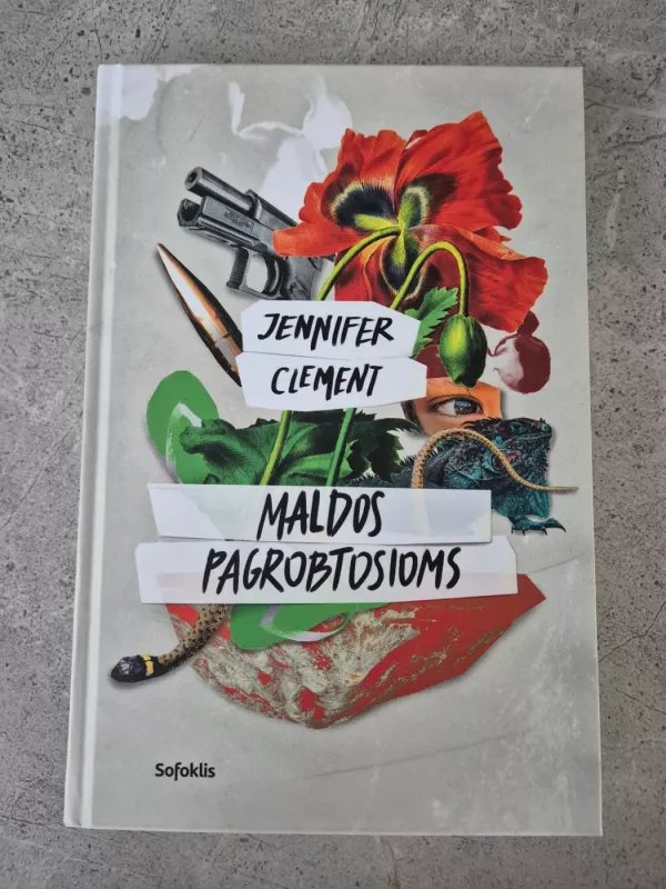 Maldos pagrobtosioms - Jennifer Clement, knyga 2