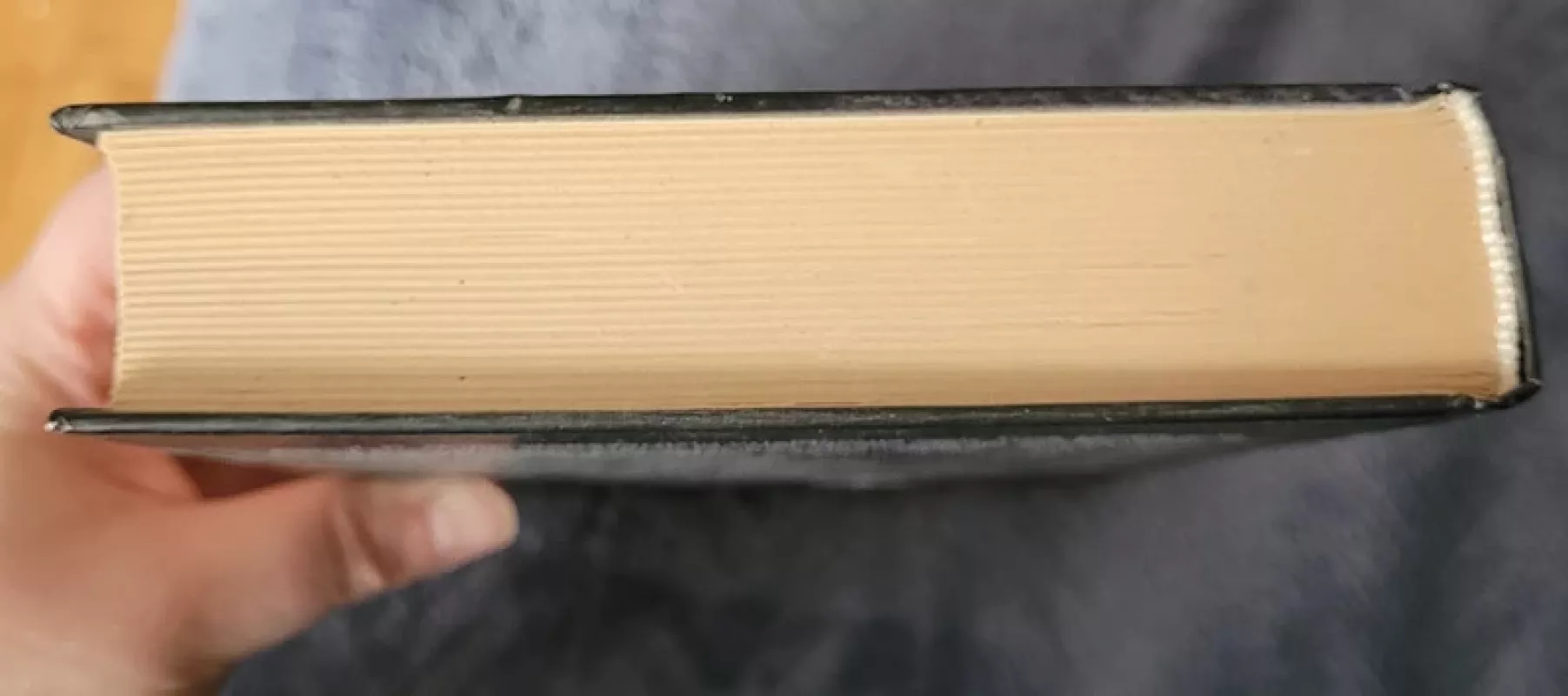 Suskaičiuotos mirtys - J.D. Robb (Nora Roberts), knyga 4