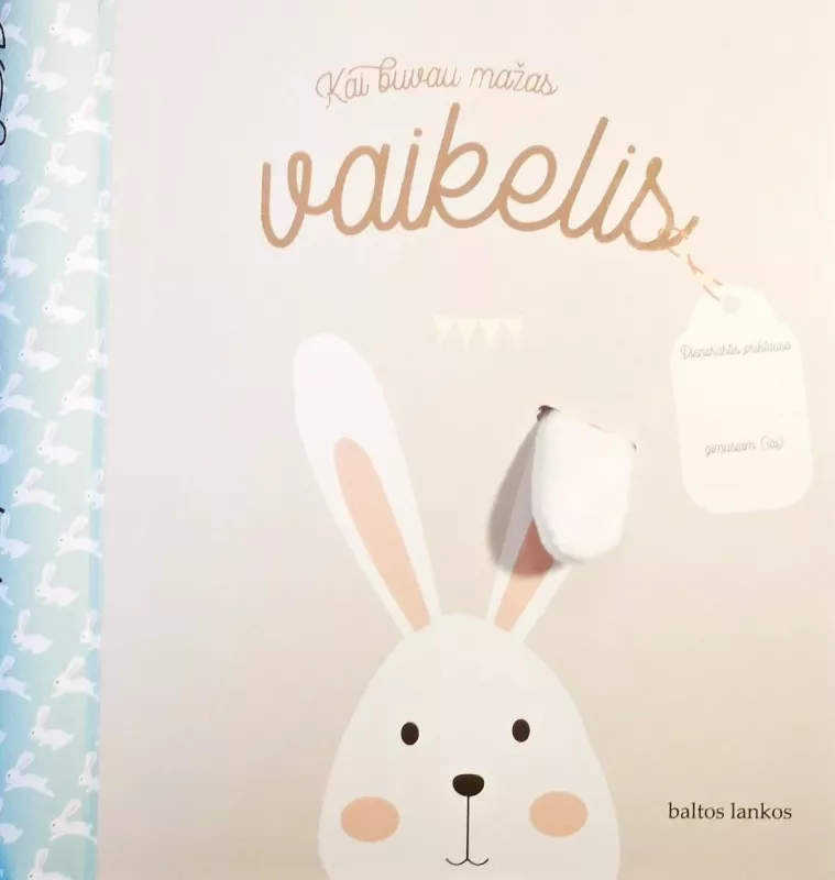 Kai buvau mažas vaikelis. Kūdikio albumas - Autorių Kolektyvas, knyga 3