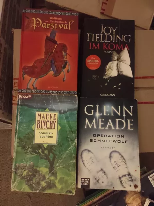 I M Koma - Gleny Meade, knyga 2