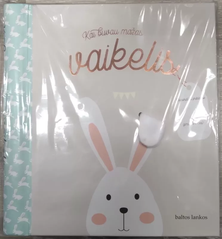 Kai buvau mažas vaikelis. Kūdikio albumas - Autorių Kolektyvas, knyga 2