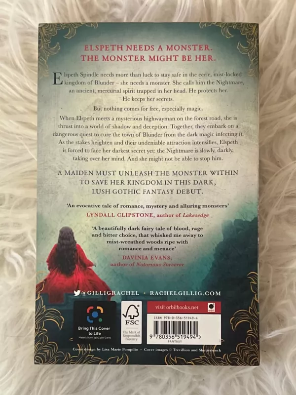 One dark window - Rachel Gillig, knyga 3