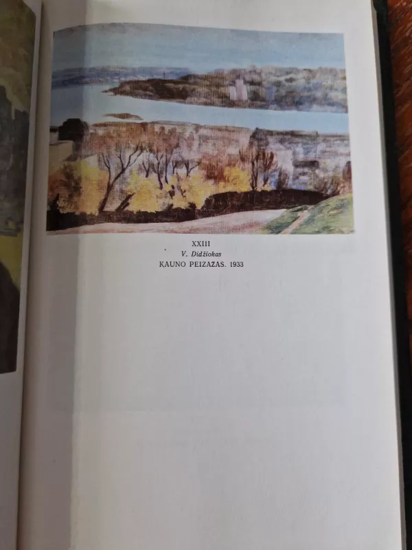 Lietuvių tapybos raida, 1900-1940: srovės ir tendencijos - Jonas Umbrasas, knyga 6