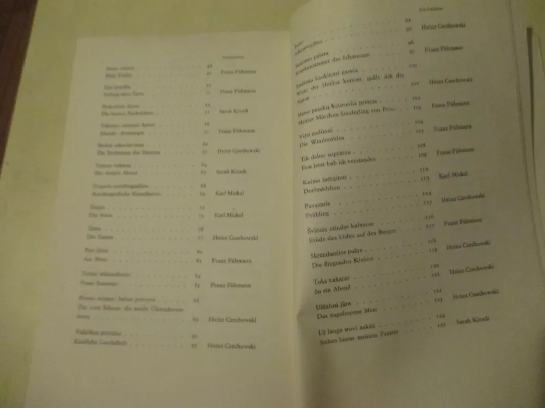 Auf der Erde geht ein Vogel - Justinas Marcinkevičius, knyga 5