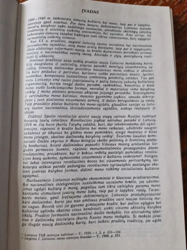 Lietuvių tapybos raida, 1900-1940: srovės ir tendencijos - Jonas Umbrasas, knyga 4