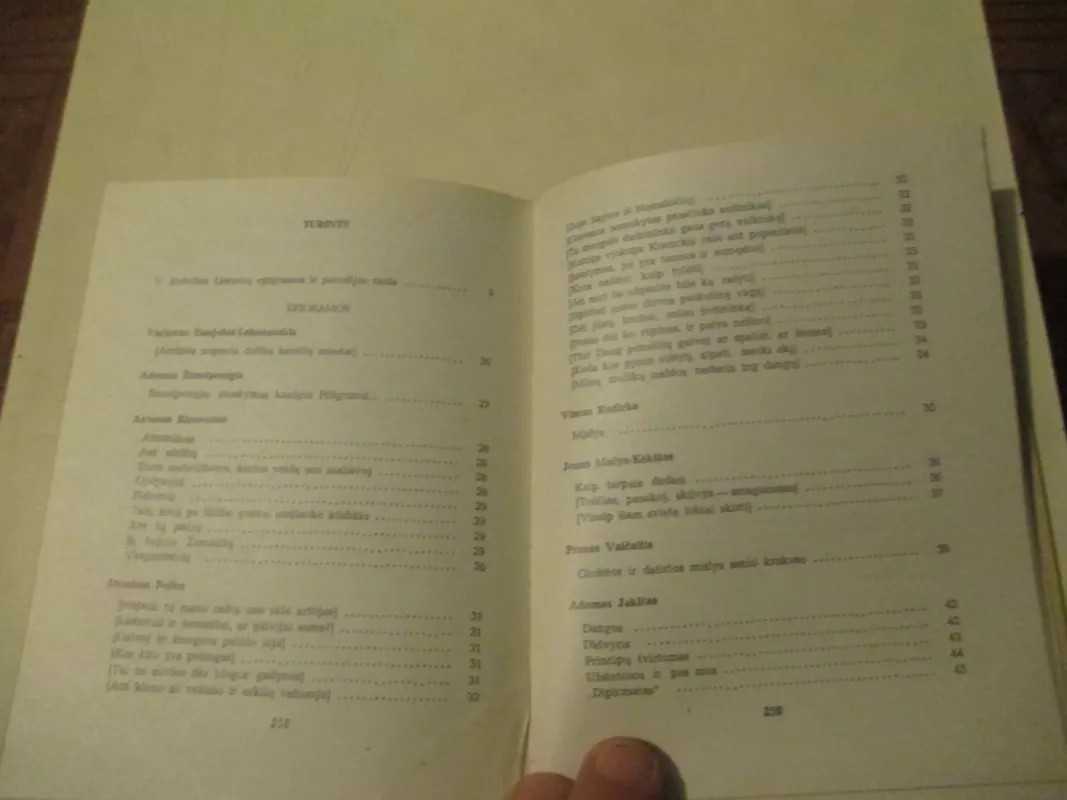 Lietuvių epigrama ir parodija - Vytautas Kubilius, knyga 5