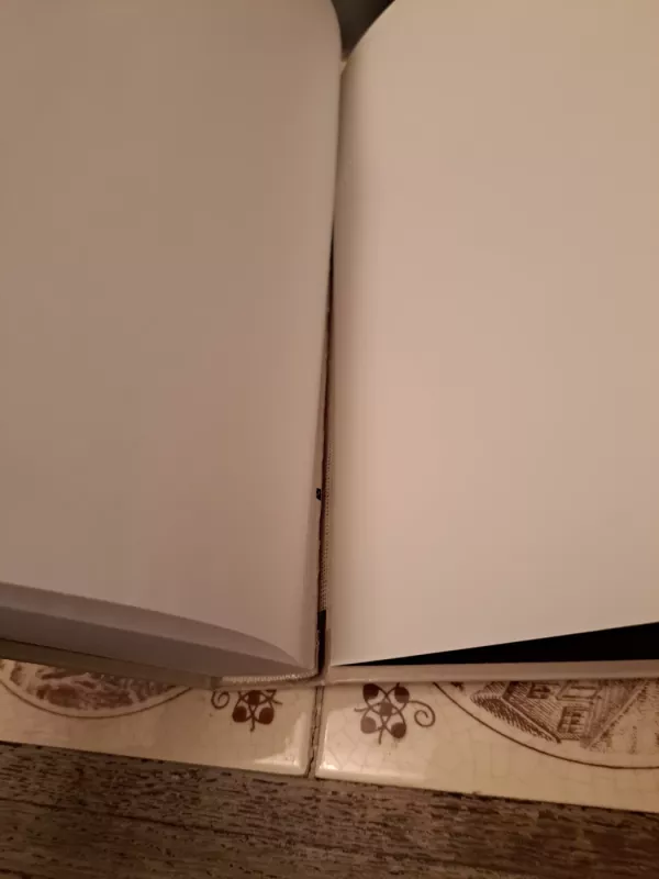 Virpesių mechanika ir technika. Lietuvos mokslas - Autorių Kolektyvas, knyga 3