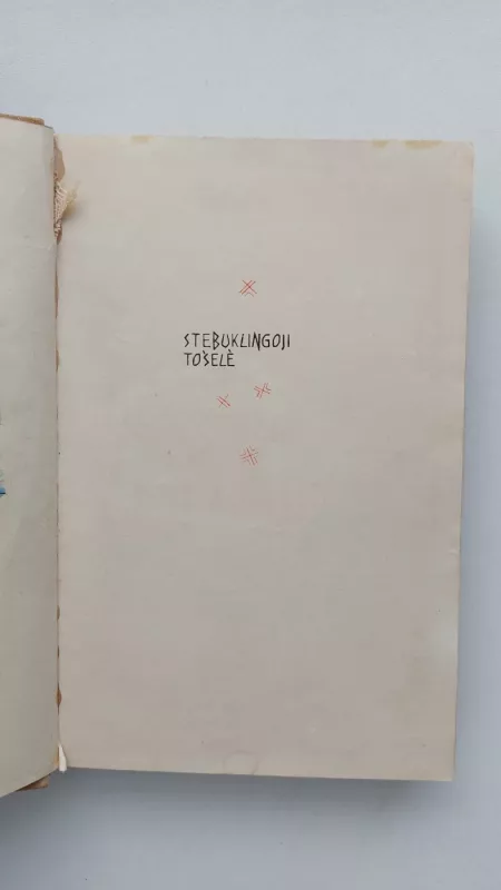 Stebuklingoji tošelė - Pelėda Lazdynų, knyga 3