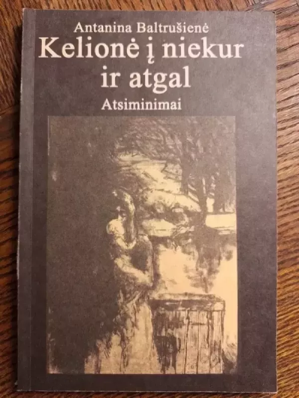 Kelionė į niekur ir atgal - Antanina Baltrušienė, knyga 2