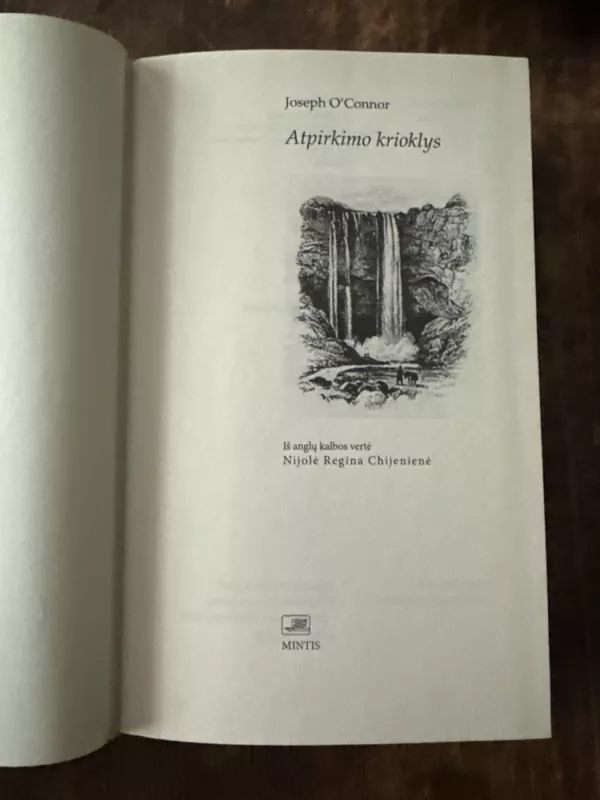 Atpirkimo krioklys - Joseph O'Connor, knyga 3